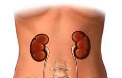 Cáncer de riñón, una nueva alternativa para su tratamiento ac00039
