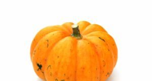 Calabaza_decorativa_nar_peq_1-1024x682