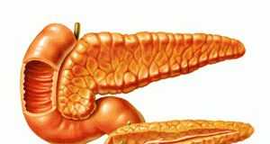 Cáncer de páncreas: tabaco, alcohol y alimentación pancreas1