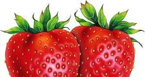 Los fitoquímicos I strawberries1