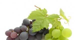 Sobre las uvas alimentos-frutas_uvas1