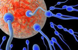 phoenix-arizona-fertility1