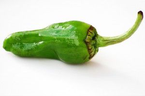 pimiento-de-padron1