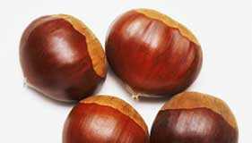 castanas1