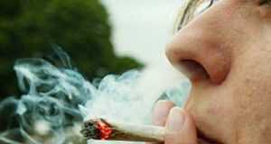 fumando-marihuana11