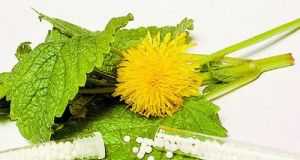 homeopatia1203623185765328221