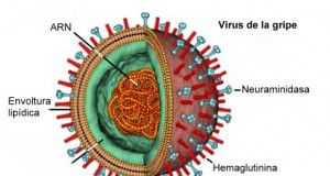 virus-gripe1