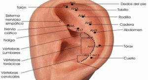 Que-es-la-auriculoterapia