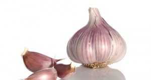 ail-violet-france1