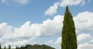 cipres1