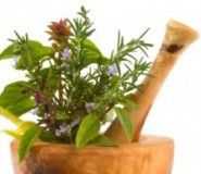 herbs