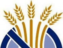 nogluten1