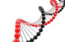 render-of-dna