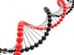 Enfermedad celíaca y de Chron comparten variantes genéticas render-of-dna