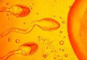 Los tratamientos de fertilidad aumentan un 14% en 2010 en España tratamientos-fertilidad1