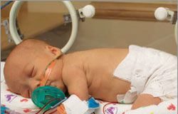 baby1