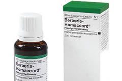 berberis-homaccord