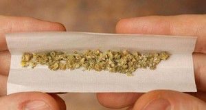 cannabis_415x2751