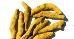 curcuma
