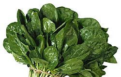 espinaca1