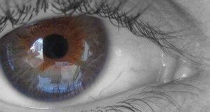 ojos21