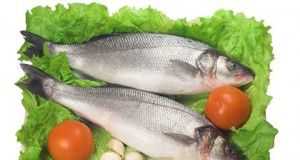 omega-31