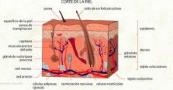the-infovisual-info-site-uses-images-to-explain-objects