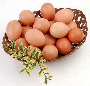 imagen-huevos-300x287