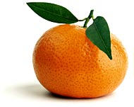mandarina1