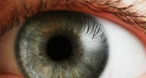 ojo20humano1