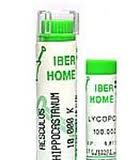 iberhome