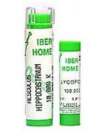Homeopatía para casos de ansiedad e irritabilidad iberhome-2