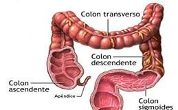 cancercollon