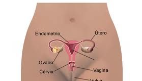 vaginitis