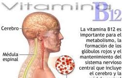 b12vit