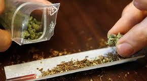 cannabisconsumo