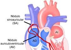 corazonvejez