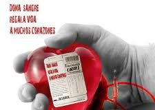 donarsangreespana