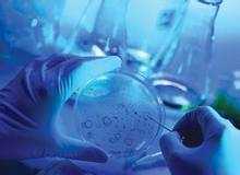 investigacionmed