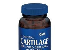 cartilago