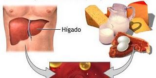 Consejos-para-prevenir-la-arteroesclerosis