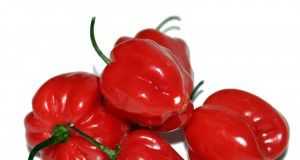 Pimiento-Picante2