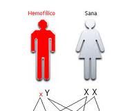 hemofilia-2