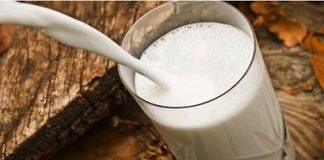 leche-calcio-osteoporosis1