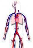 mainbody-2