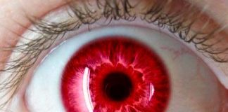 ojos1