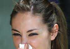 rinitisalergica1