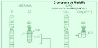 cromosomafiladelfia