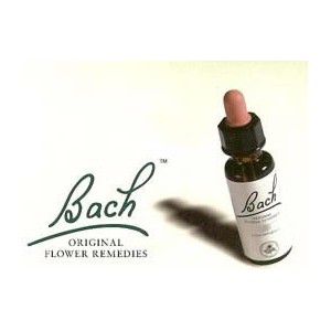 flor-de-bach-mustard-mostaza1