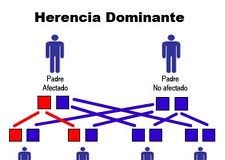 herencia